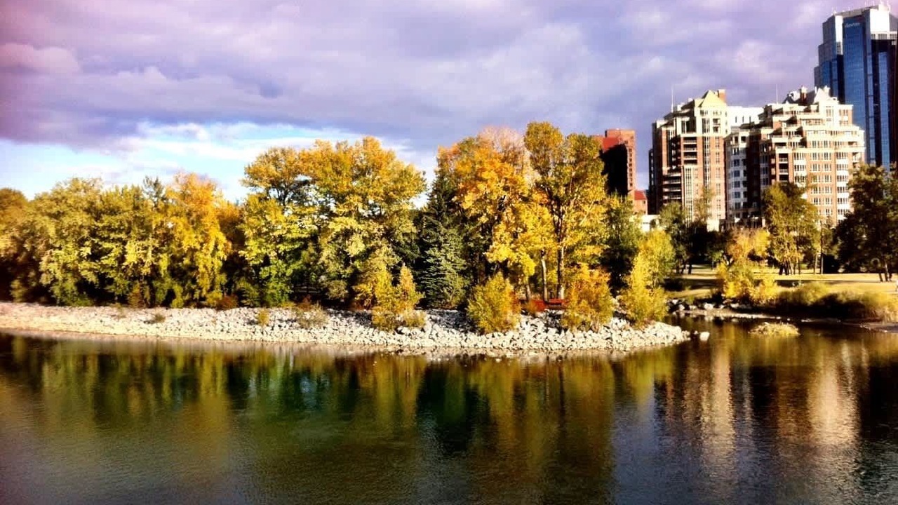 Photo of Others in Victoria Park