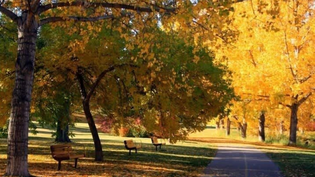 Photo of Others in Victoria Park