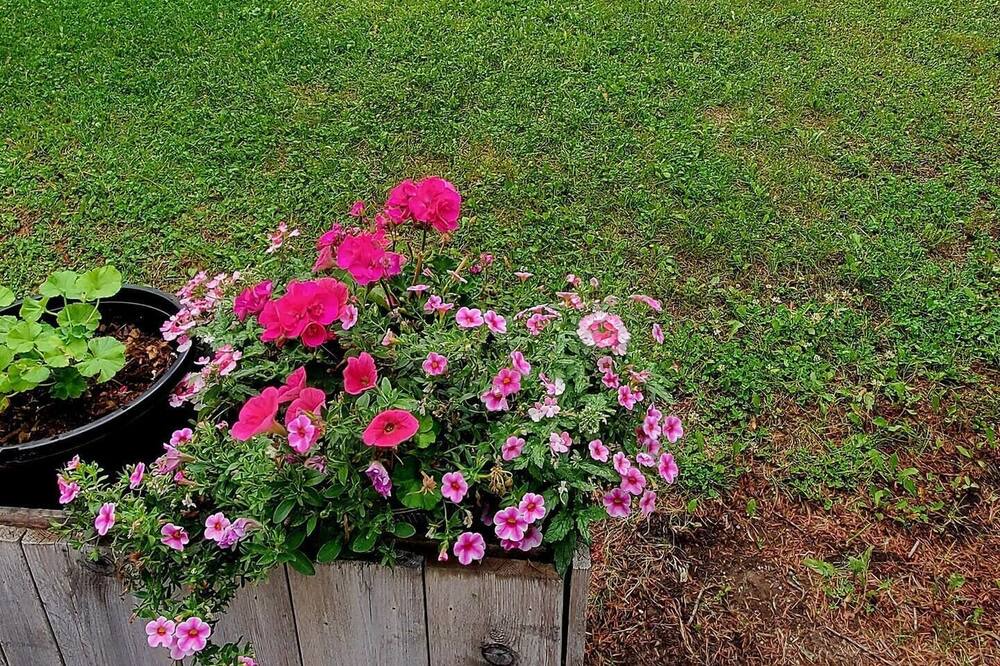 Photo of Outdoor in East Kootenay