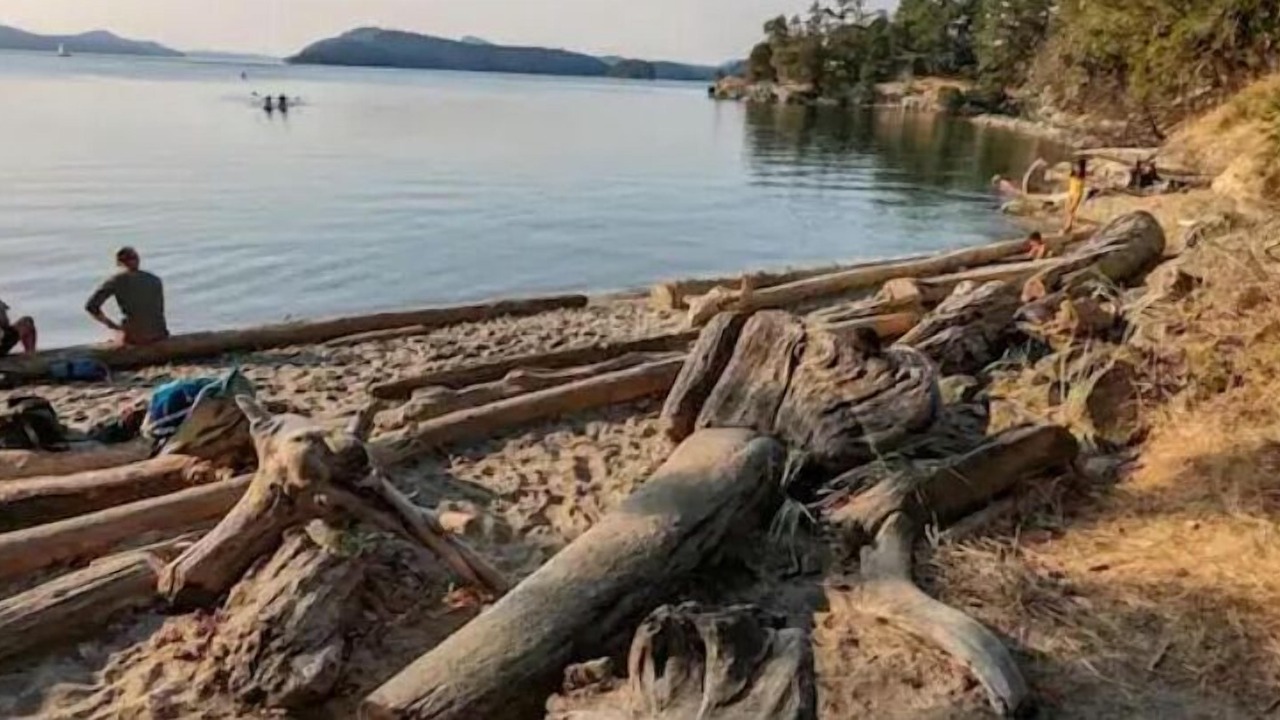 Photo of Others in Saturna Island