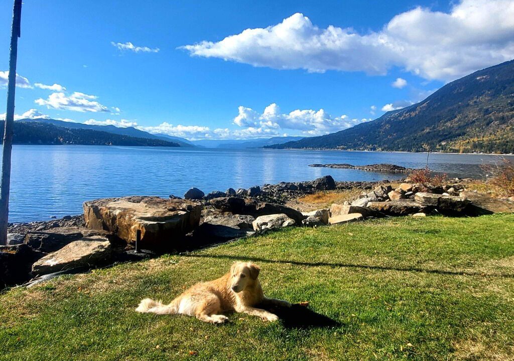 Photo of Outdoor in Eagle Bay