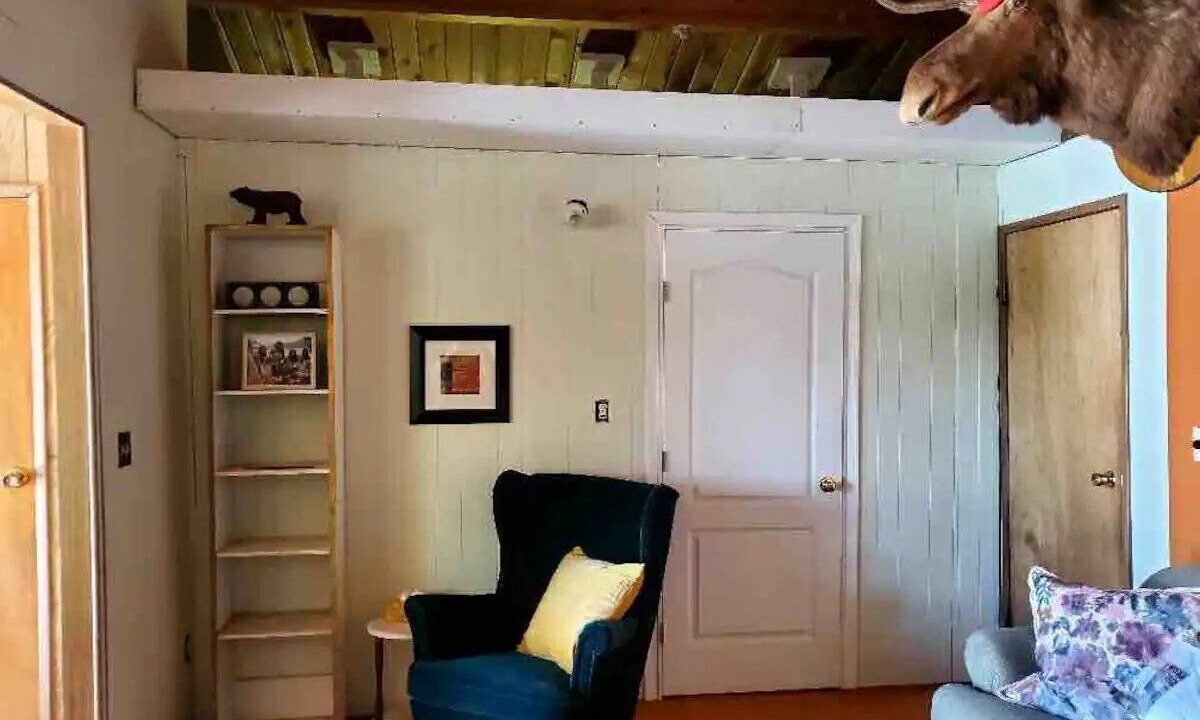 Photo of Others in Eagle Bay