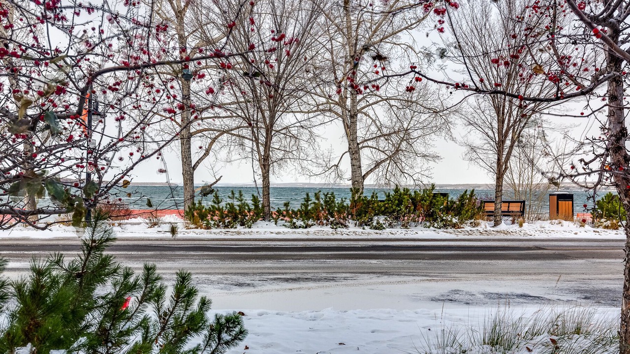 Photo of Outdoor in Markerville