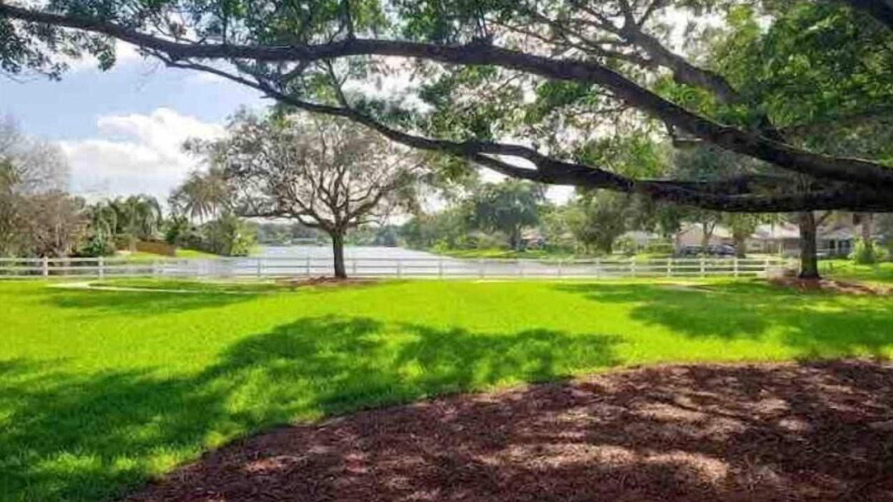 Photo of Outdoor in Survey Creek