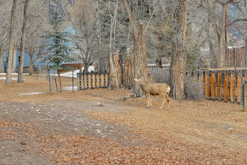 Photo of Others in Crestone