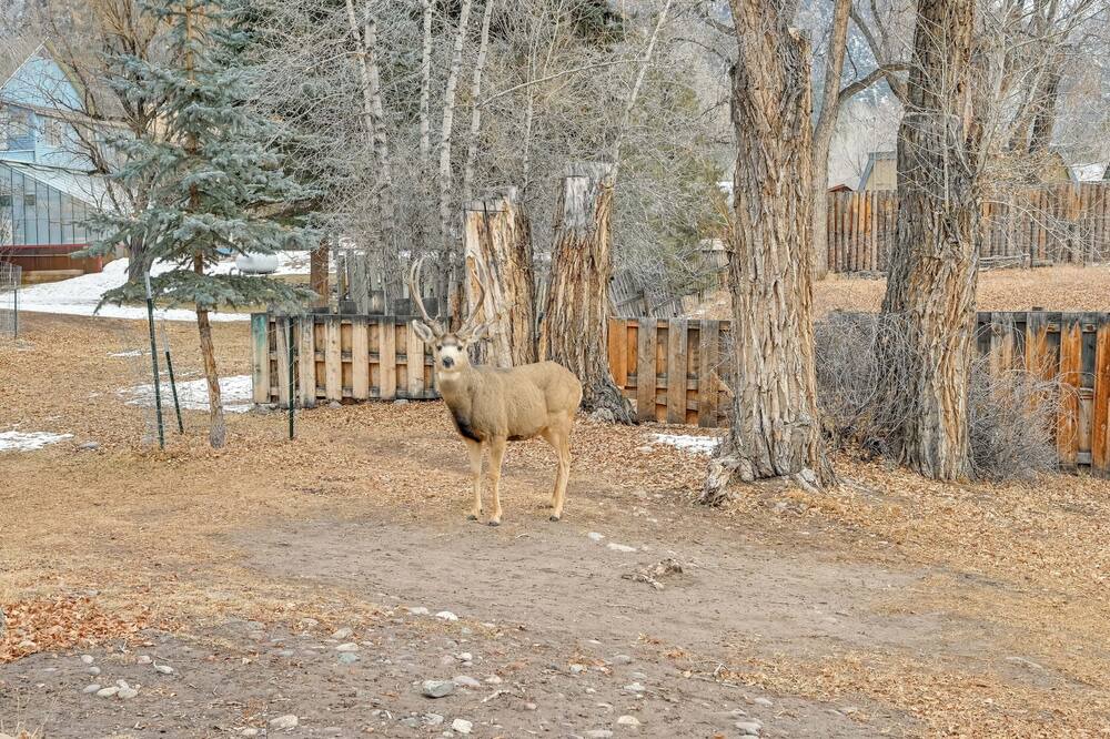 Photo of Outdoor in Crestone