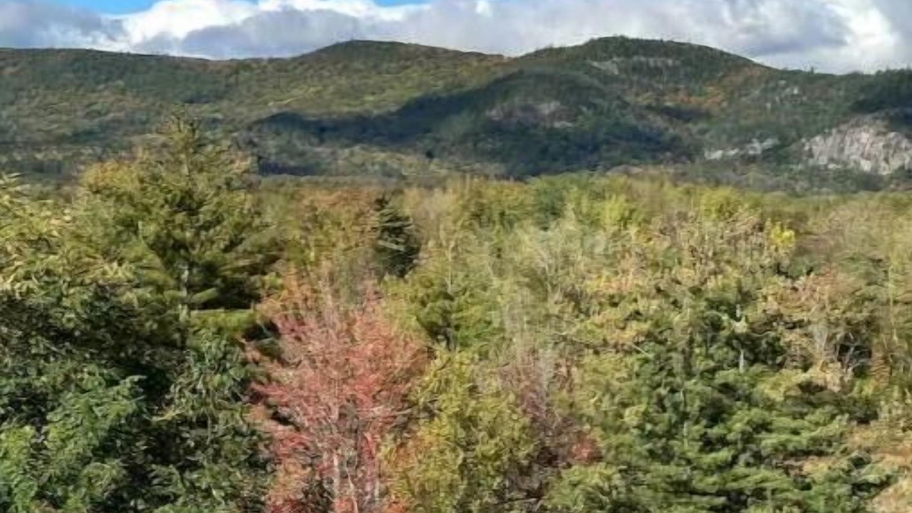 Photo of Outdoor in Birchview by the Saco