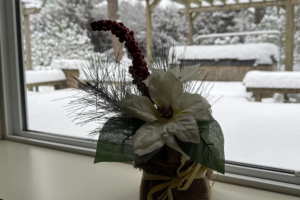 Photo of Outdoor in Surrey