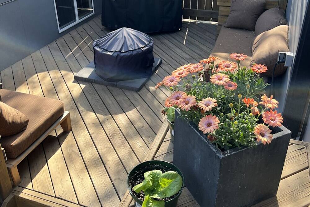 Photo of Outdoor in Saskatoon Downtown