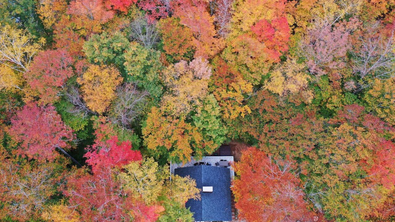 Photo of Outdoor in Harts Location