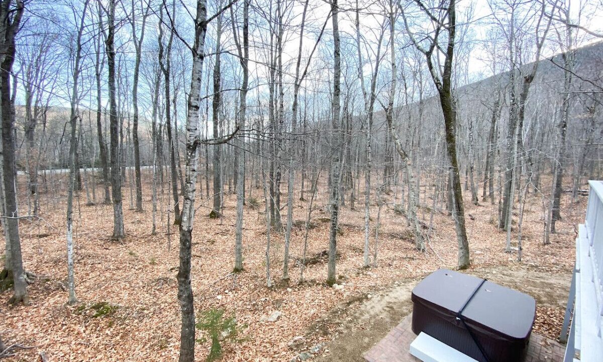Photo of Outdoor in Harts Location