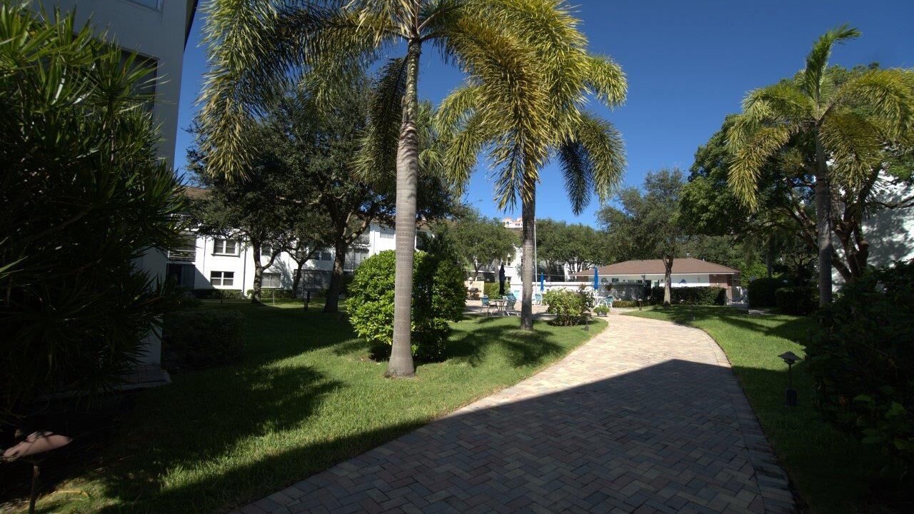 Photo of Outdoor in Bel Air