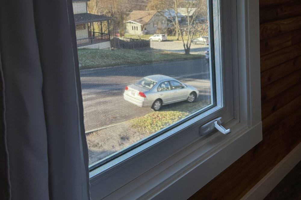 Photo of Others in Nelson