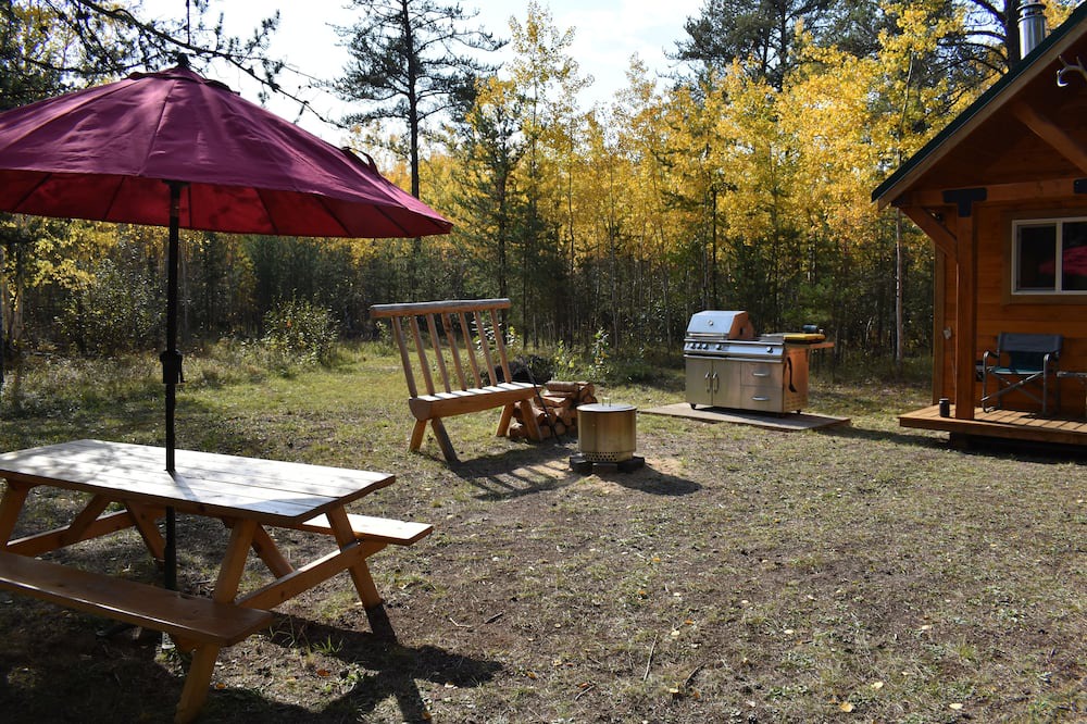 Photo of Outdoor in Bellis