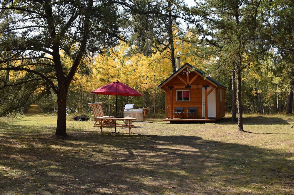 Photo of Outdoor in Bellis
