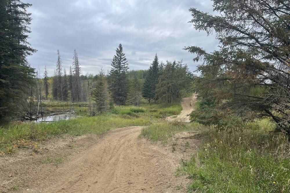 Photo of Outdoor in Bellis