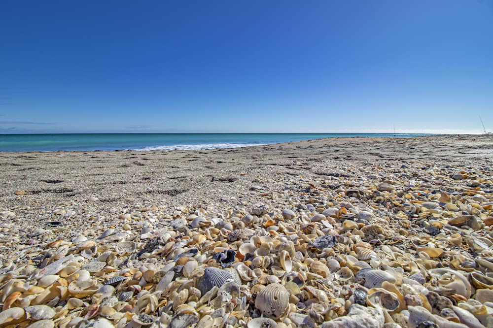 Photo of Others in Hobe Sound