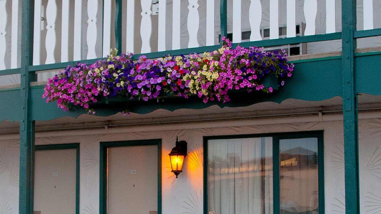 Photo of Outdoor in Prince George