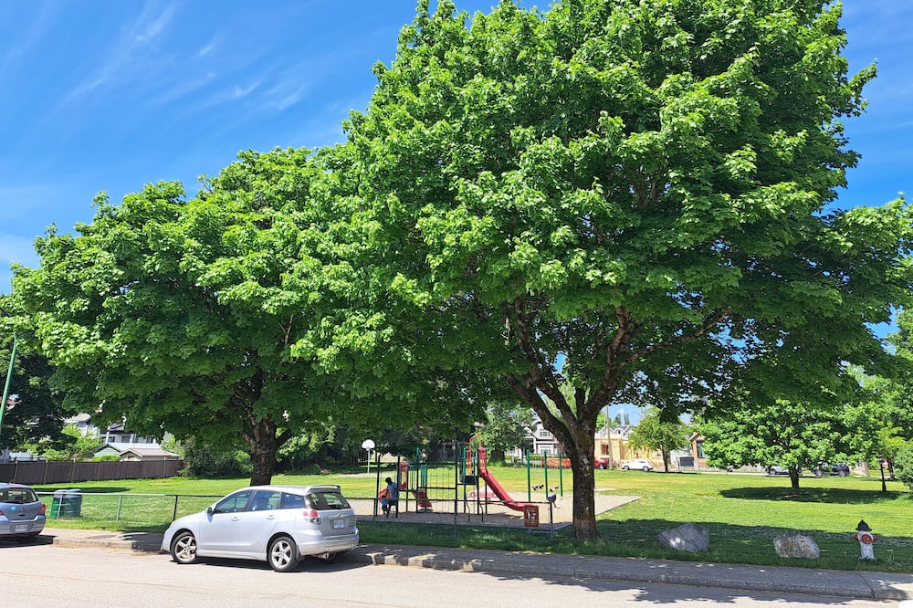Photo of Outdoor in Burnaby