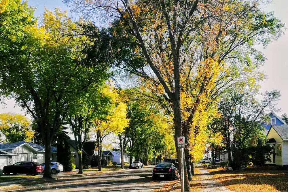 Photo of Outdoor in North Battleford
