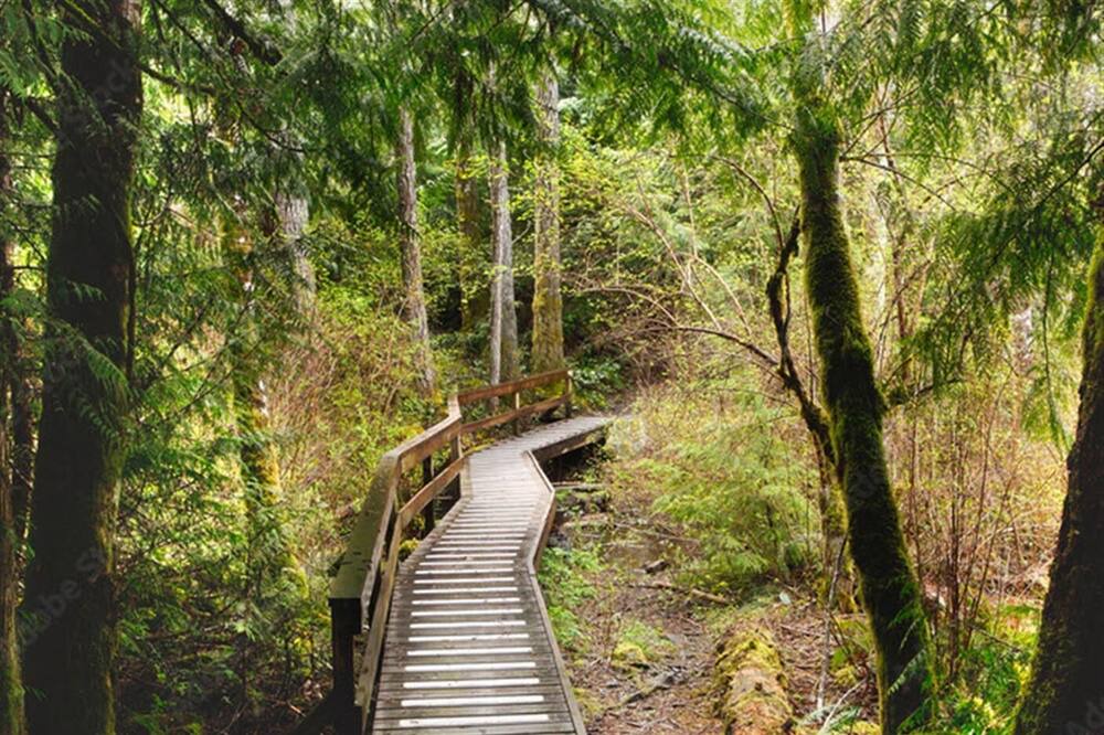 Photo of Outdoor in Regional District of Nanaimo