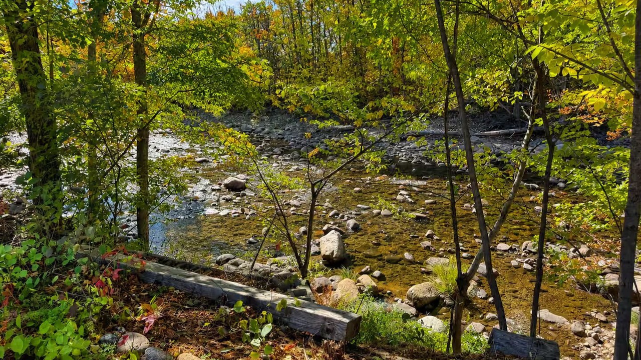 Photo of Outdoor in Bartlett