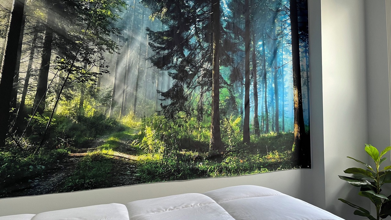 Photo of Bedroom in Sunalta