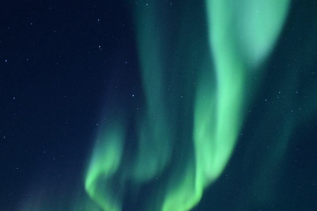 Photo of Others in Whitehorse