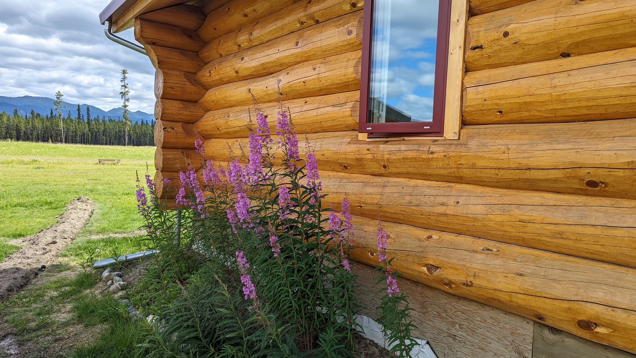 Photo of Outdoor in Whitehorse