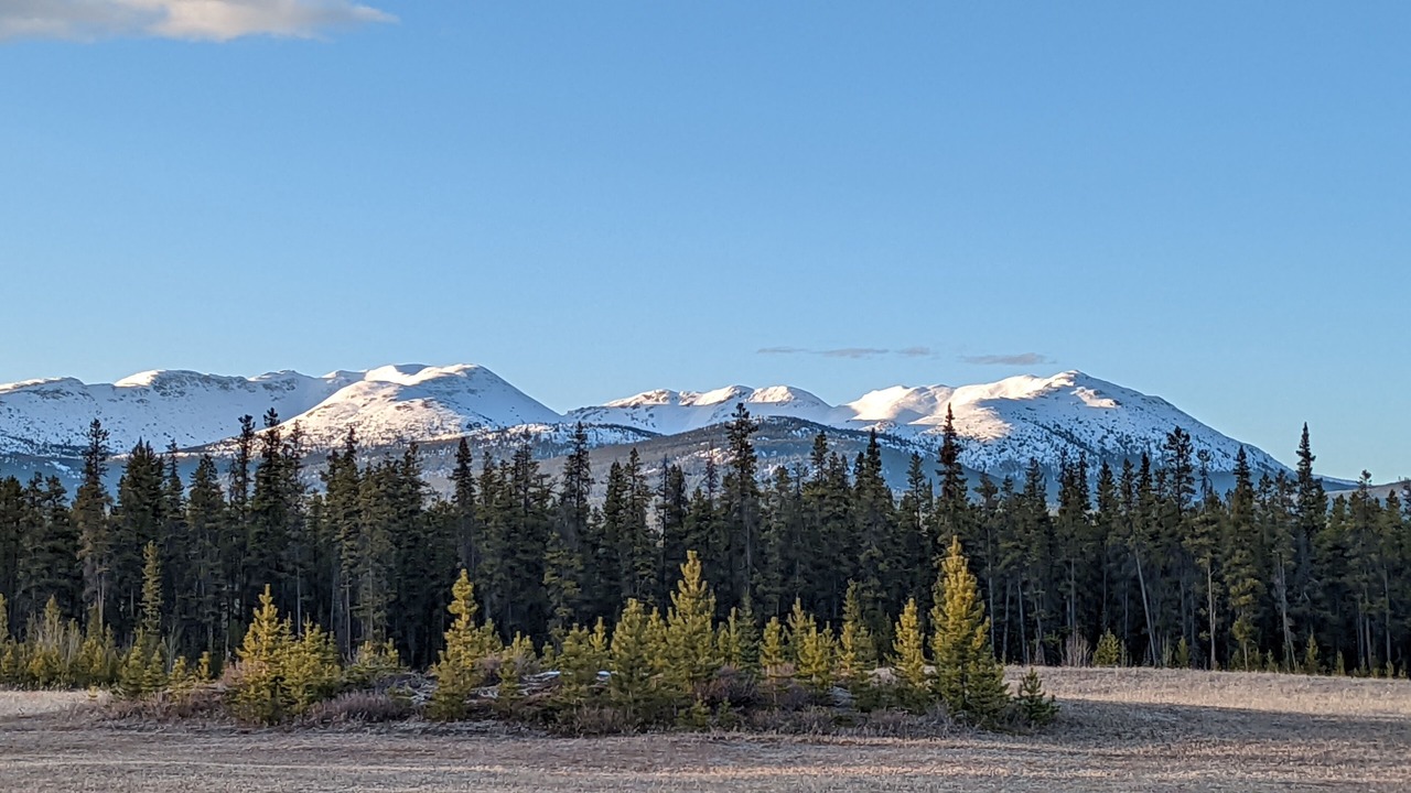 Photo of Outdoor in Whitehorse