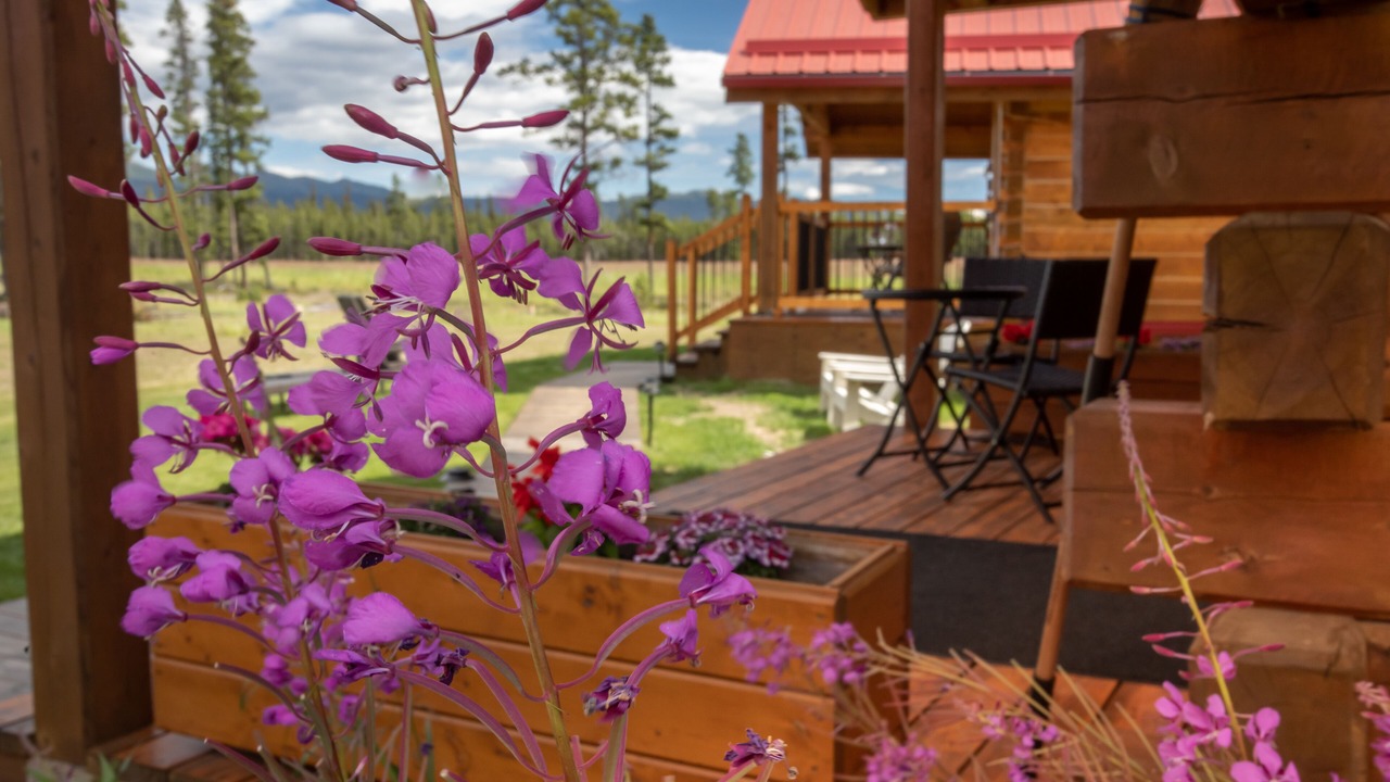 Photo of Outdoor in Whitehorse