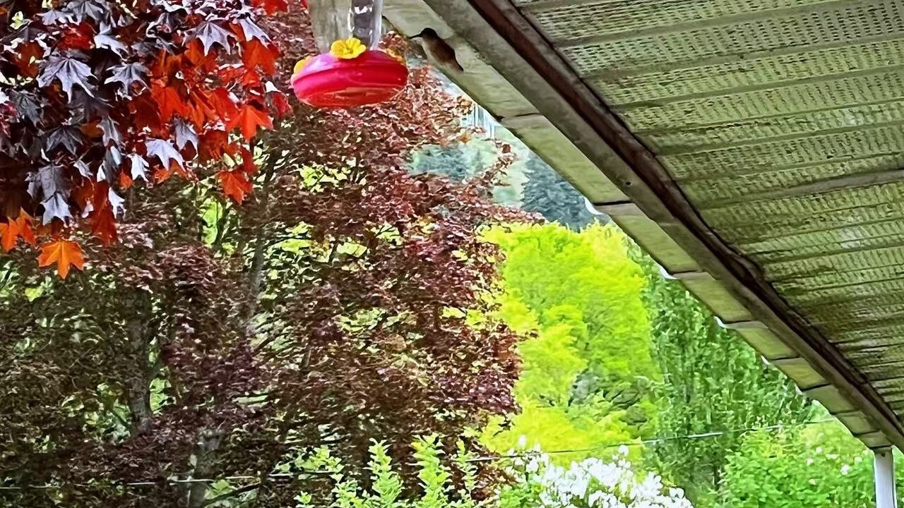Photo of Outdoor in Little Fort