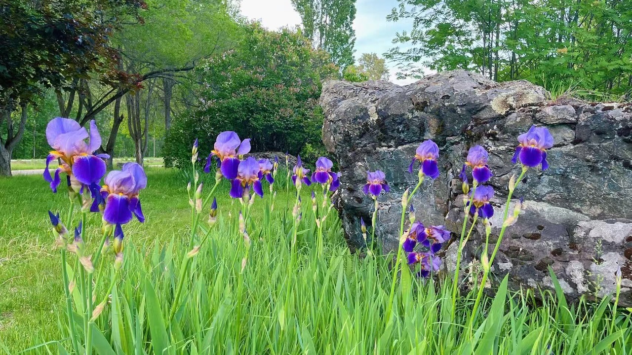 Photo of Outdoor in Little Fort