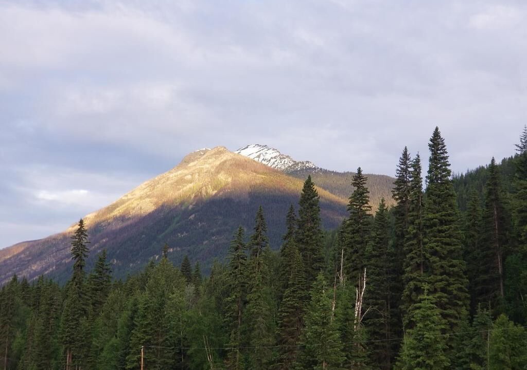 Photo of Others in Valemount