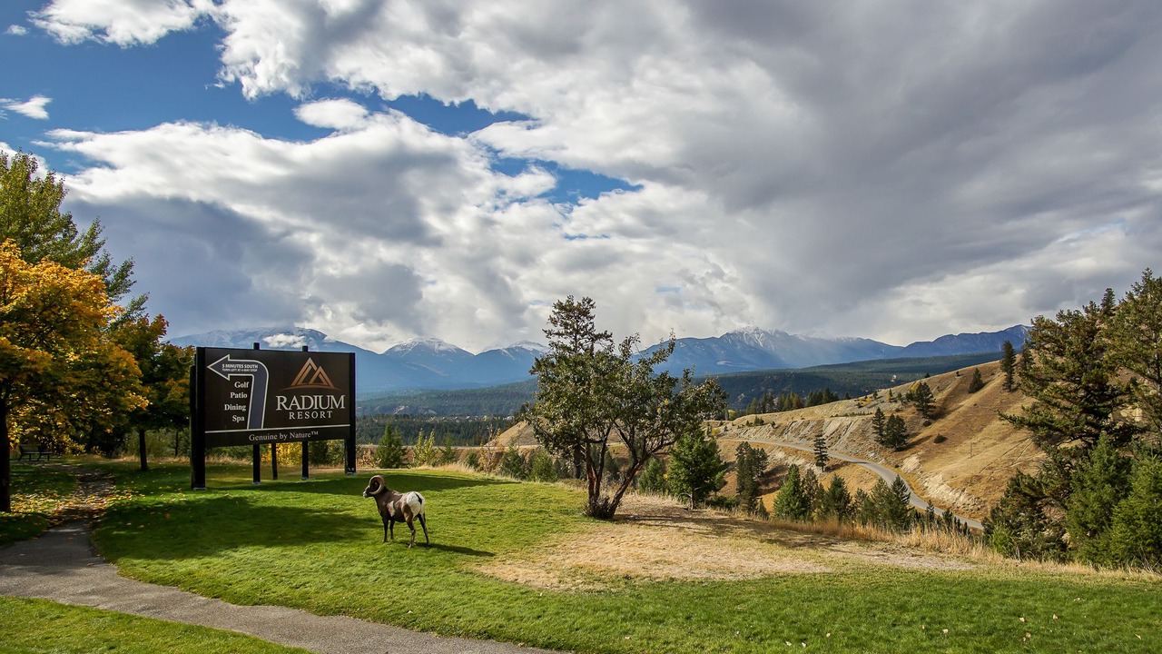 Photo of Outdoor in Radium Hot Springs