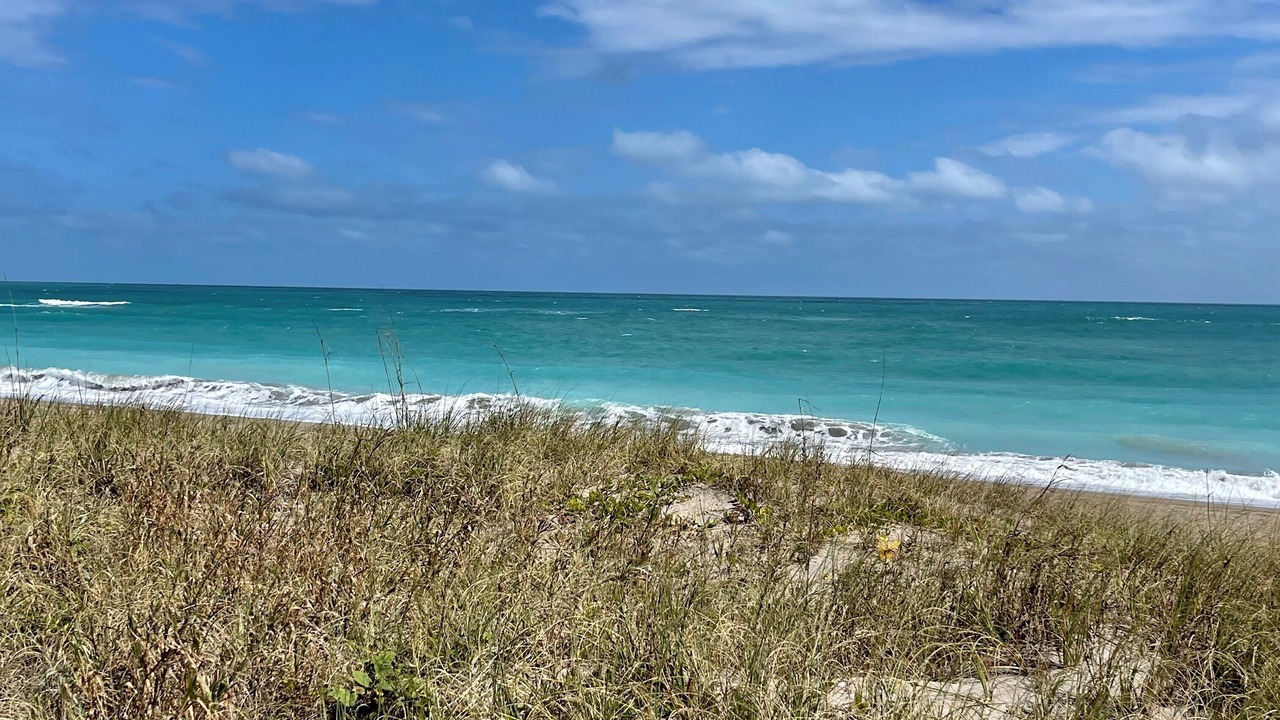 Photo of Others in Fort Pierce