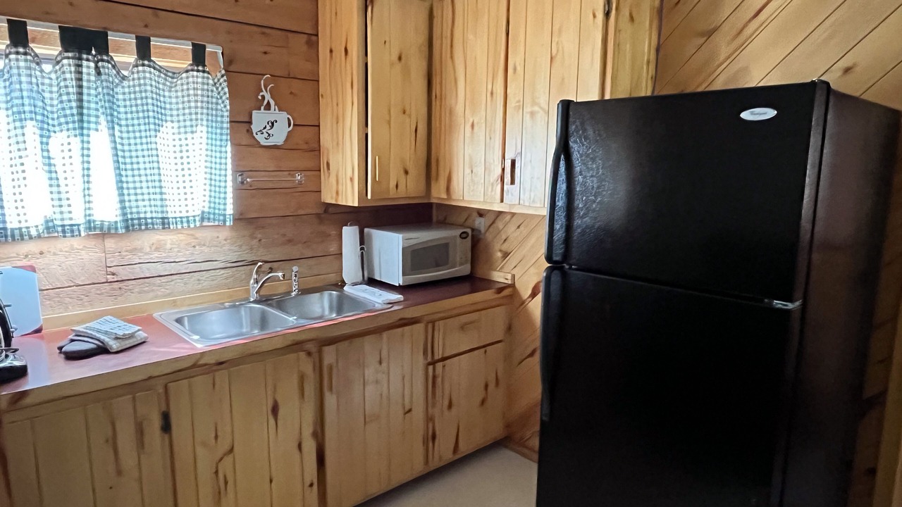 Photo of Kitchen in Almont