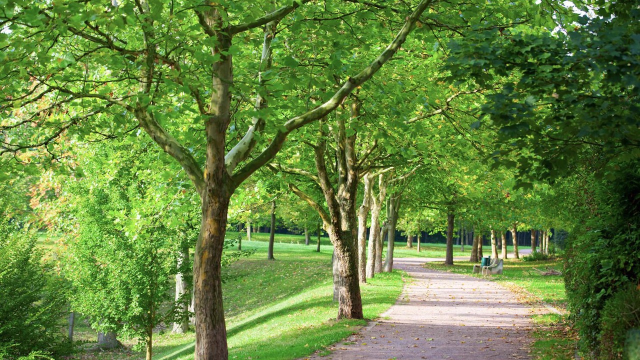 Photo of Outdoor in Belcaro