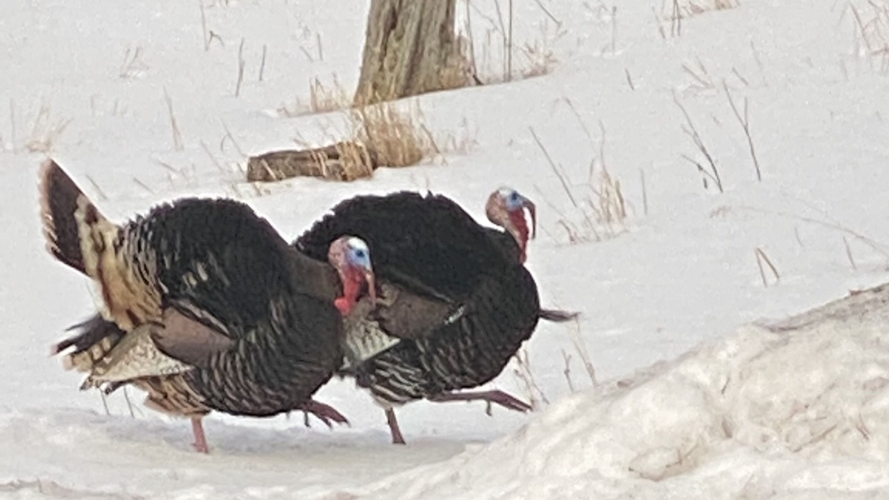 Photo of Outdoor in Weston County