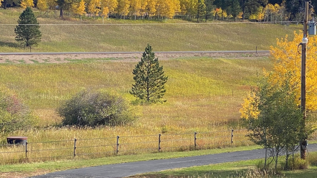 Photo of Others in Weston County