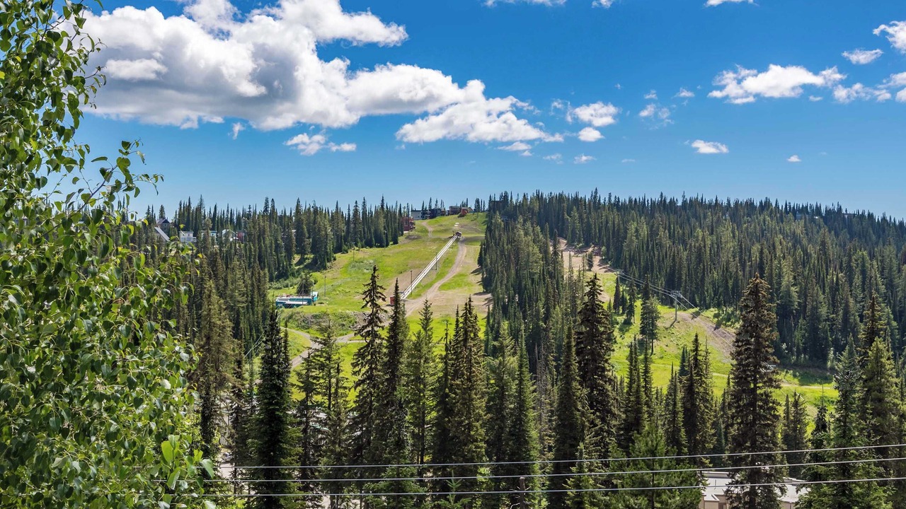 Photo of Others in Silver Star Mountain