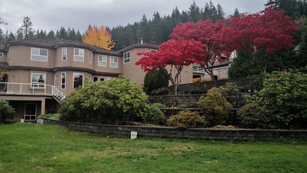 Photo of Outdoor in Anmore