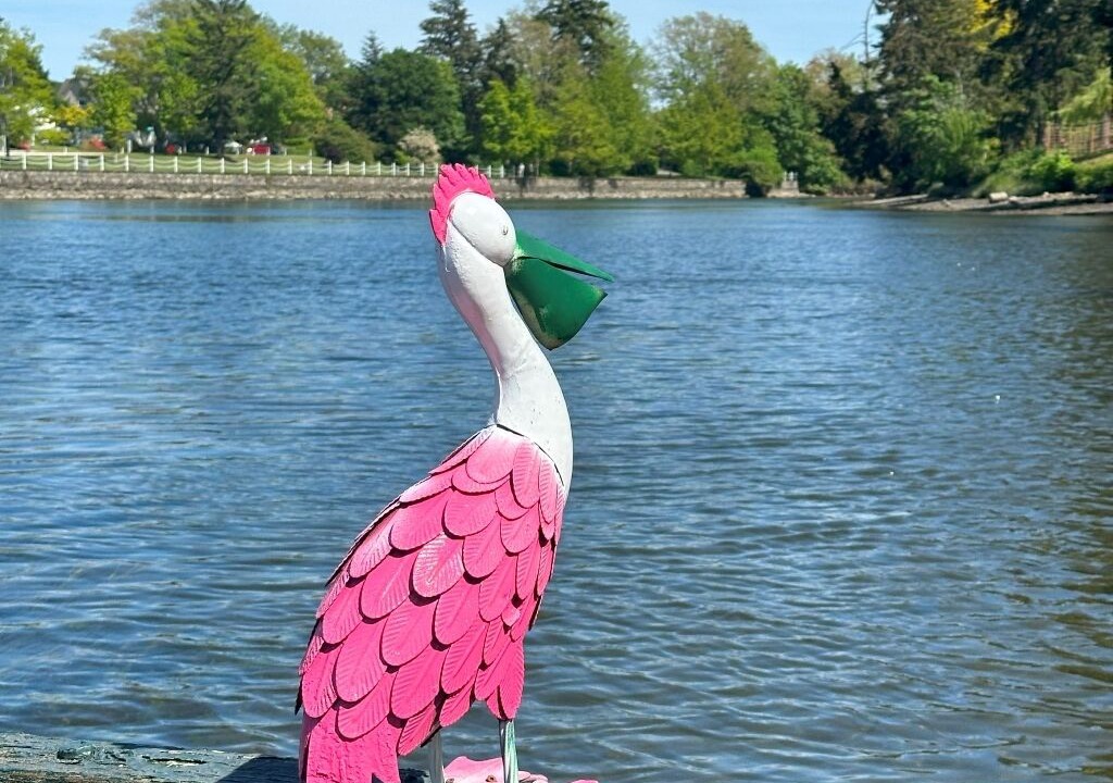 Photo of Outdoor in Victoria