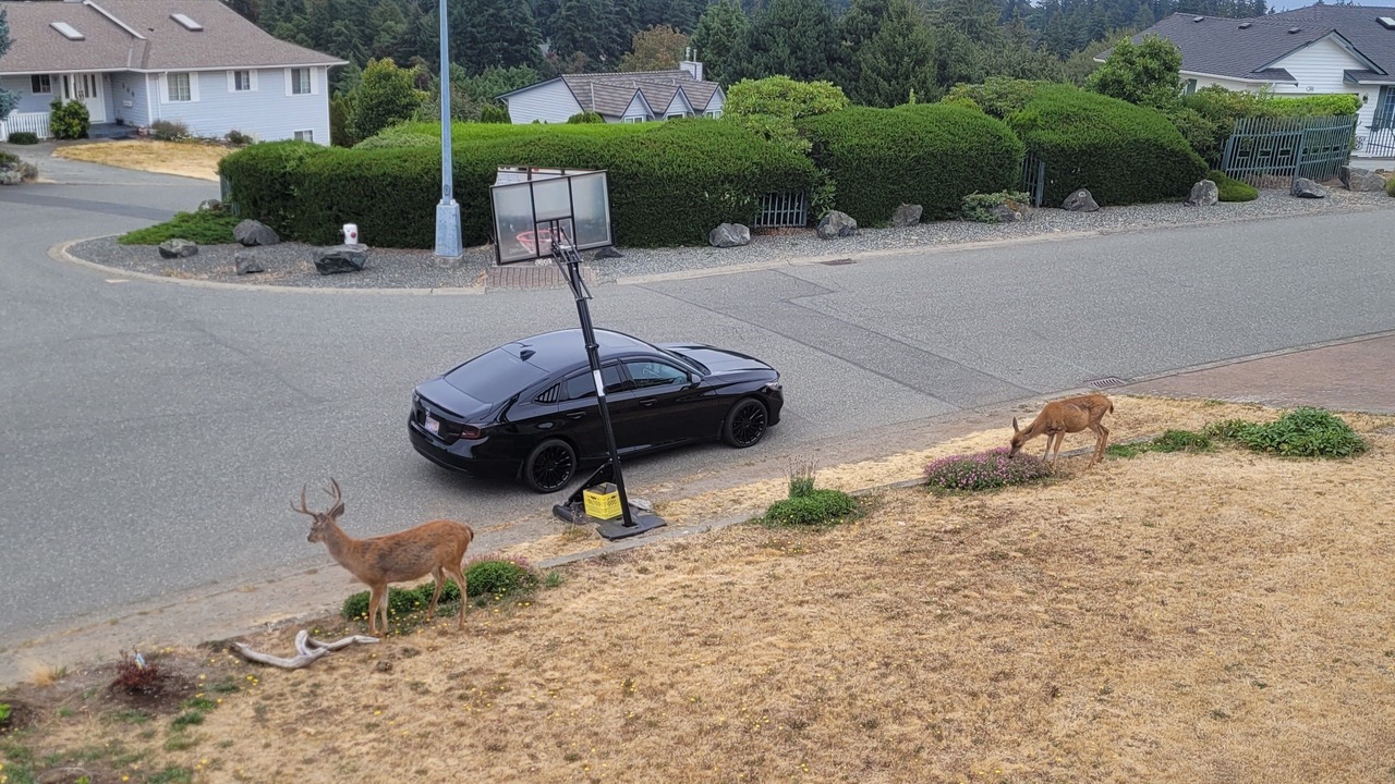 Photo of Outdoor in Colwood