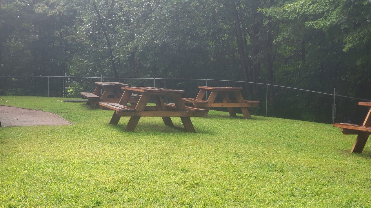 Photo of Outdoor in Bartlett
