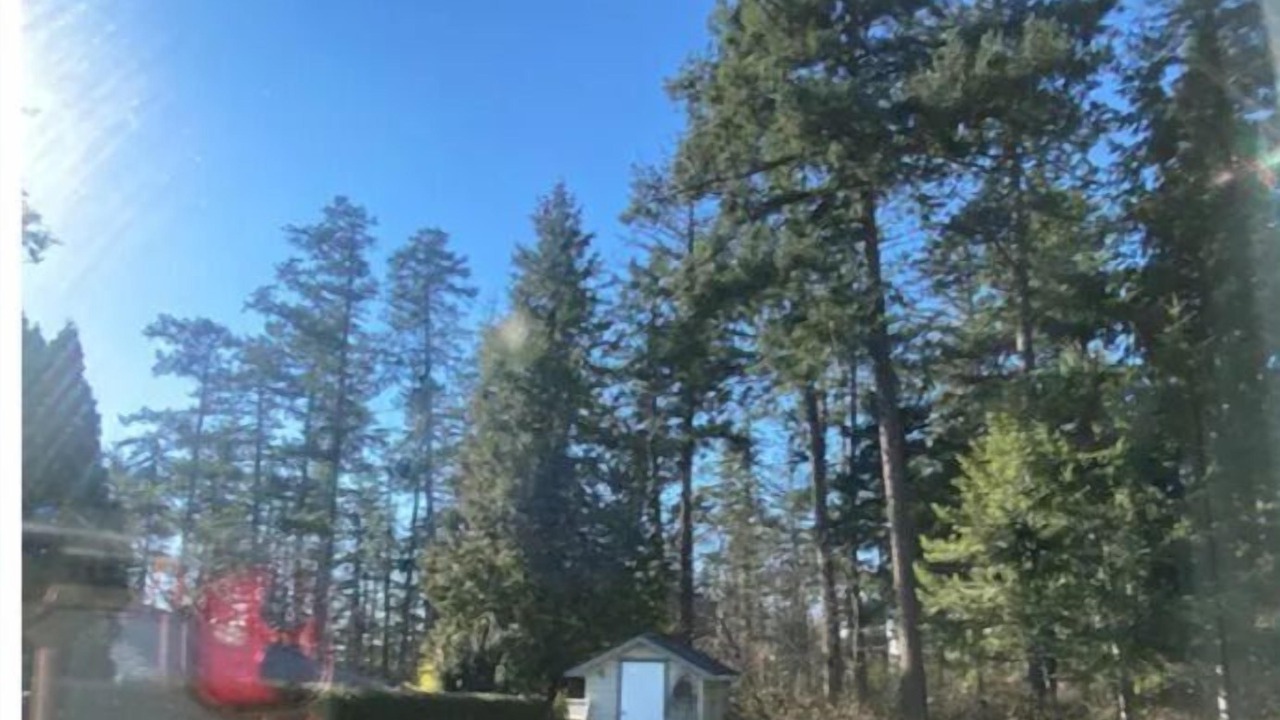 Photo of Outdoor in Saanich West