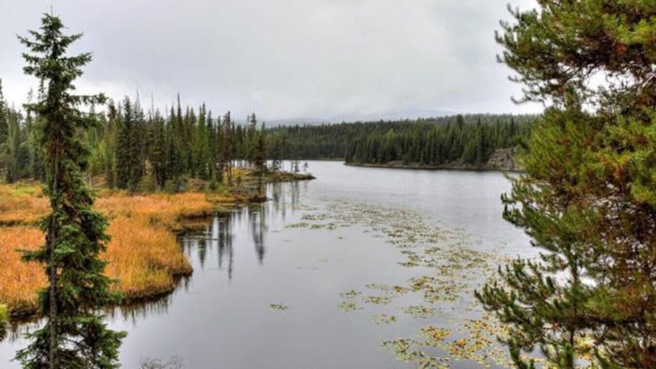 Photo of Outdoor in Idabel Lake