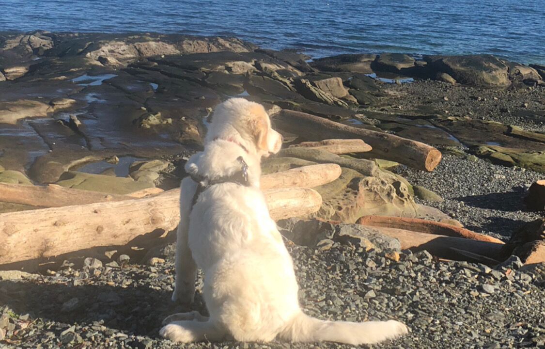 Photo of Others in North Oyster