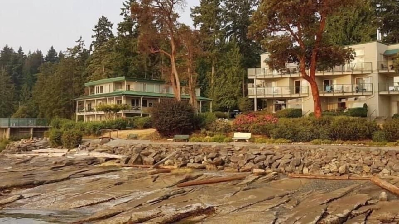 Photo of Outdoor in North Oyster