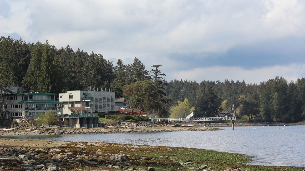 Photo of Others in North Oyster
